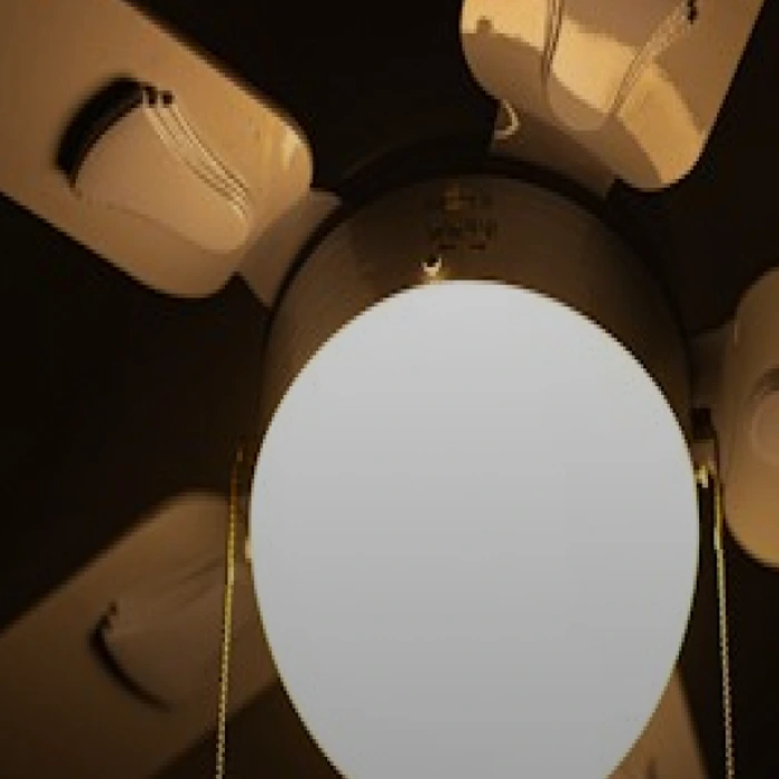 Modern Ceiling Fan with Light